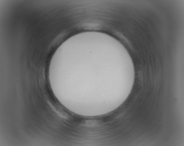 X0000081350686200702082255