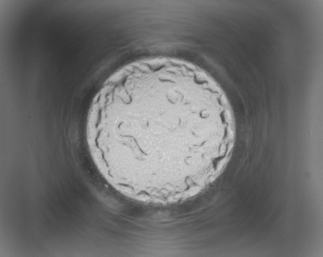 X0000081350687200702082255