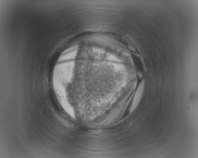 X0000081350688200702082255