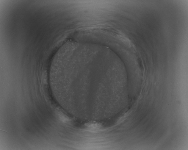 X0000081350689200702082255