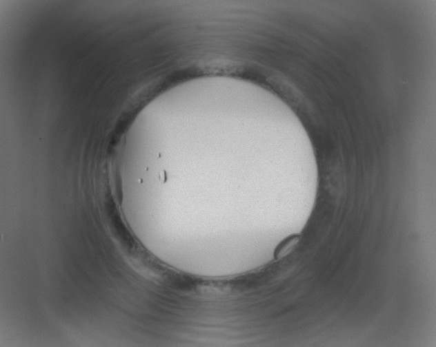 X0000081350690200702082255