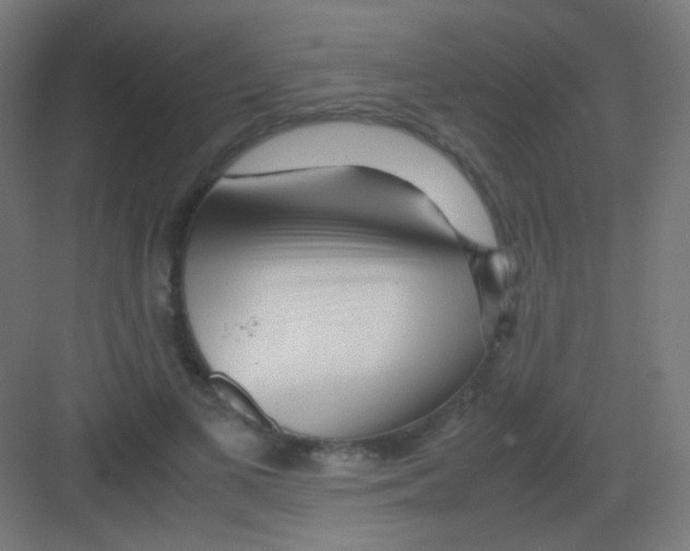 X0000081350693200702082255