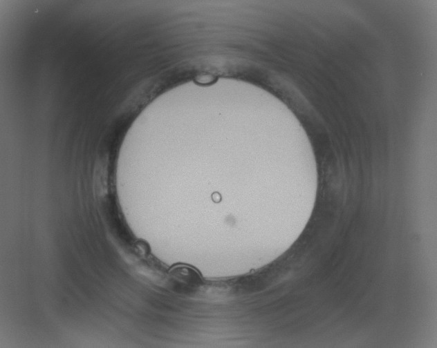 X0000081350694200702082255