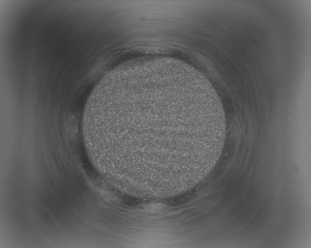 X0000081350695200702082255