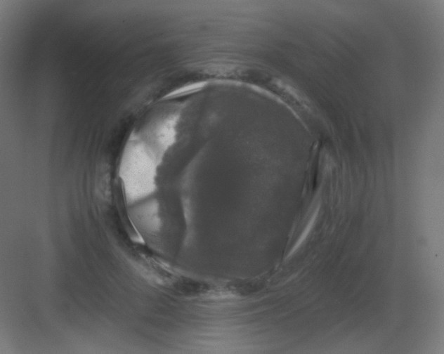 X0000081350696200702082255