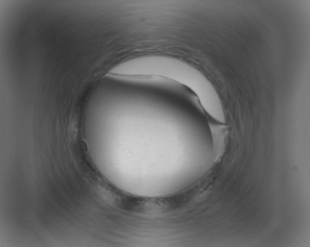 X0000081350697200702082255