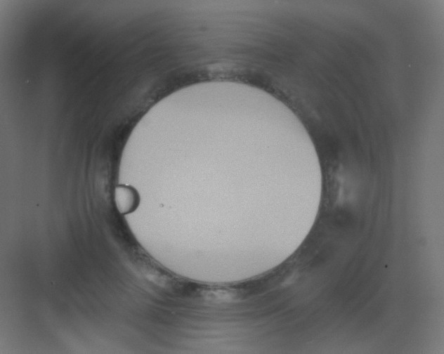 X0000081350698200702082255