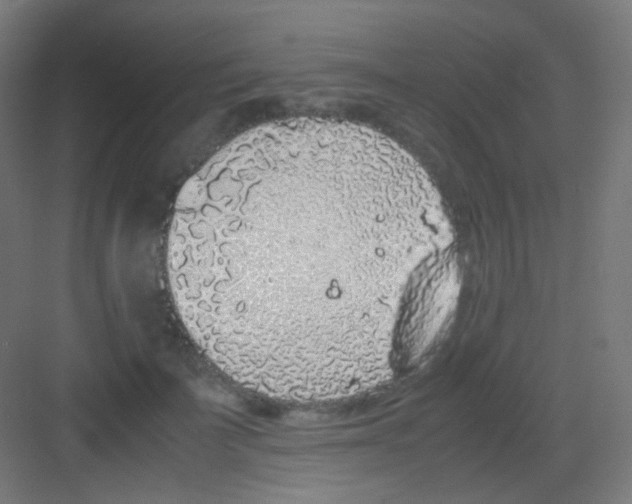 X0000081350699200702082255