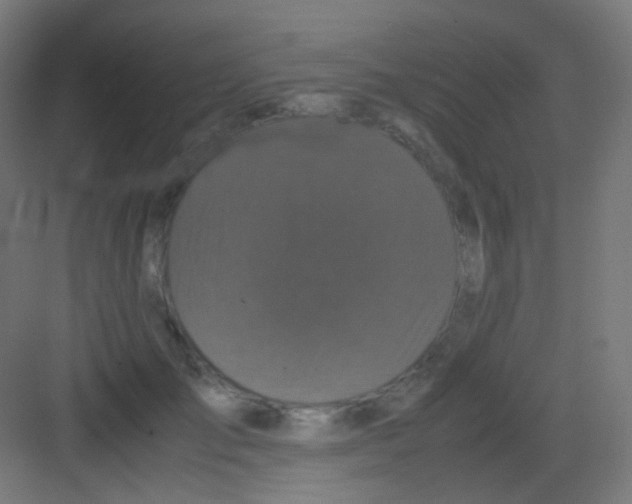 X0000081350701200702082255