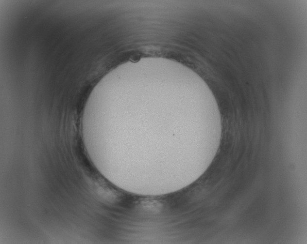 X0000081350702200702082255