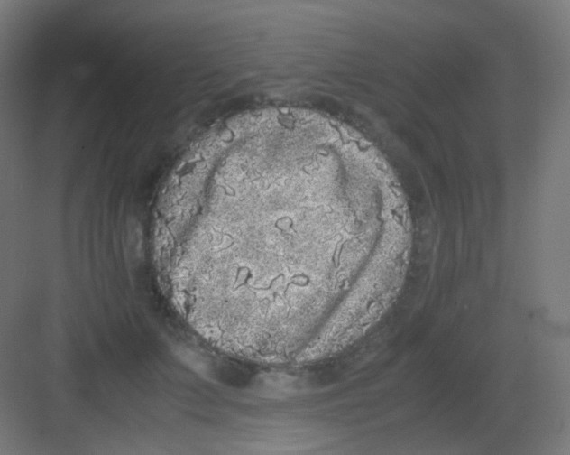 X0000081350703200702082255