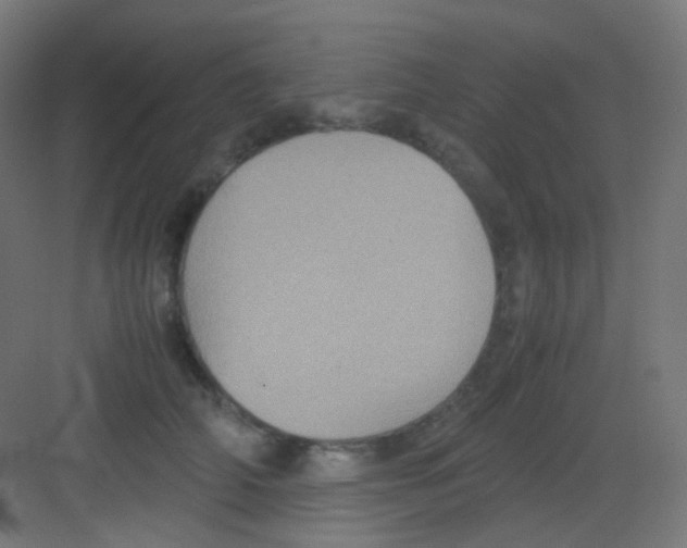 X0000081350706200702082255