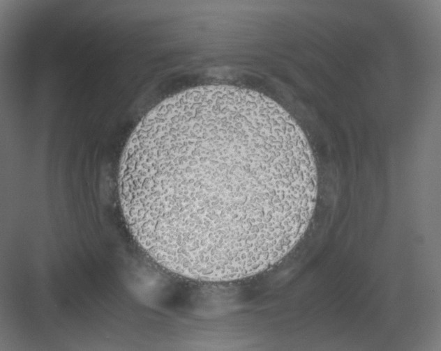 X0000081350707200702082255