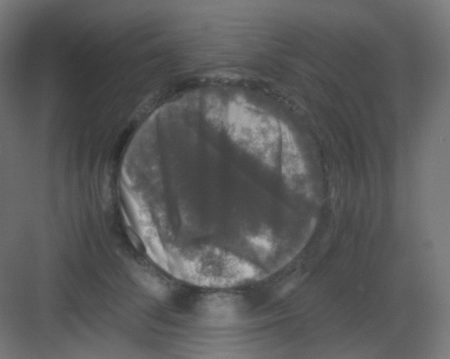 X0000081350708200702082254