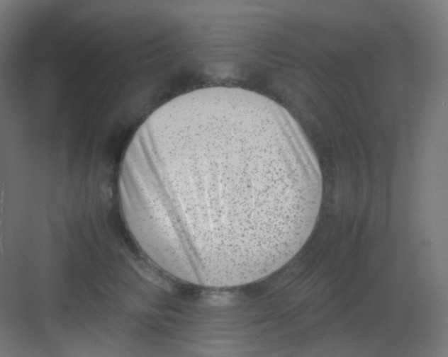 X0000081350710200702082254