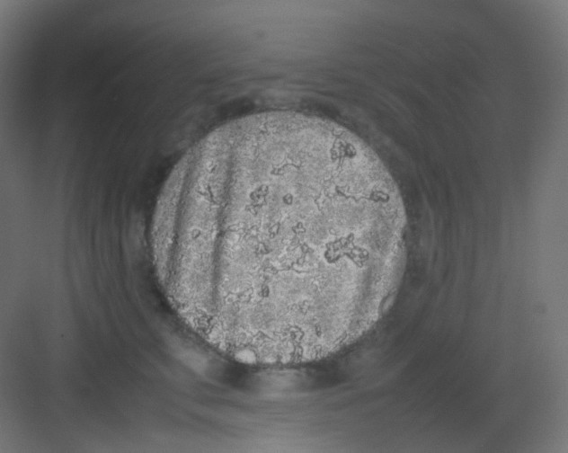 X0000081350711200702082254