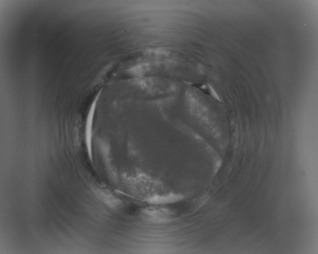 X0000081350712200702082254