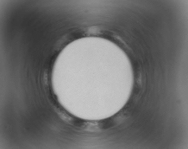 X0000081350715200702082254