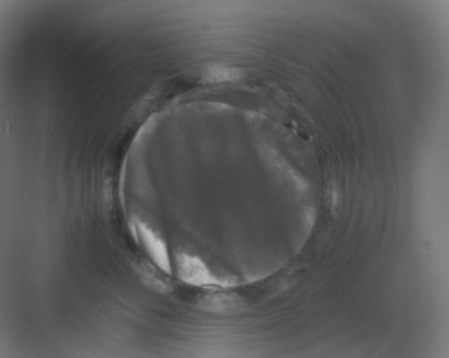 X0000081350716200702082254