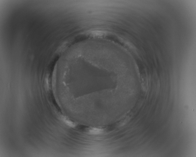 X0000081350718200702082254