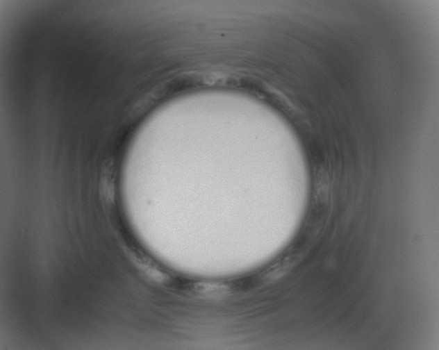 X0000081350719200702082254