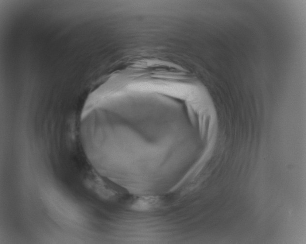 X0000081350720200702082254