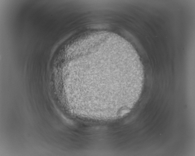 X0000081350721200702082253