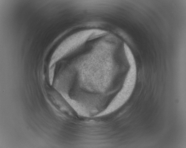 X0000081350722200702082253