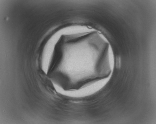 X0000081350723200702082254