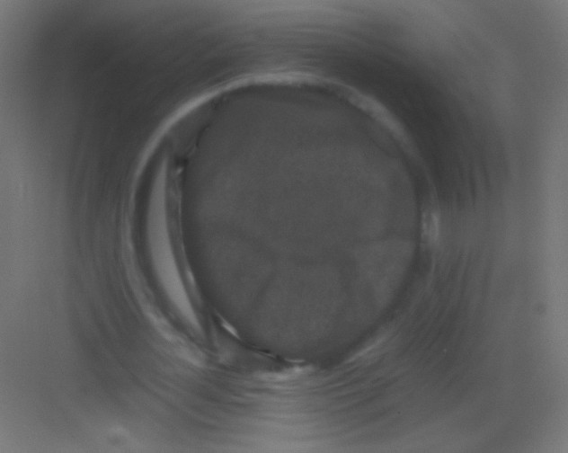 X0000081350724200702082254