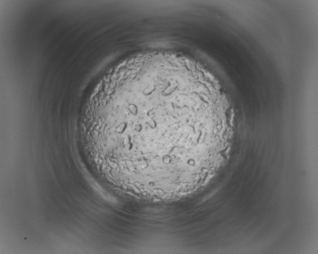 X0000081350725200702082254