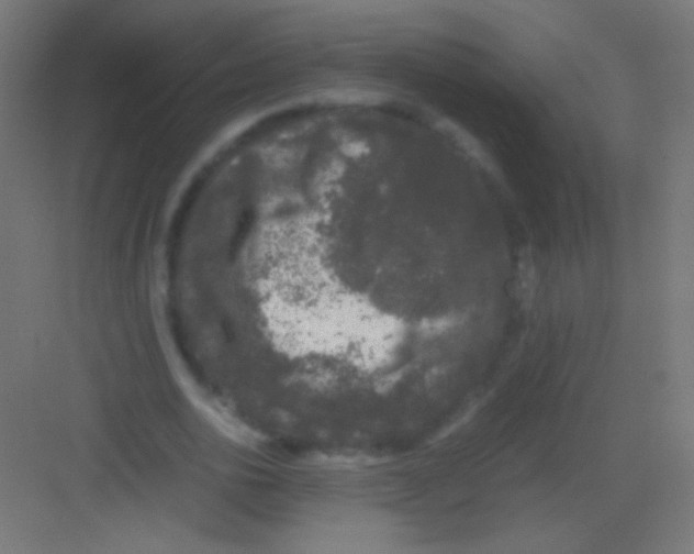 X0000081350726200702082254