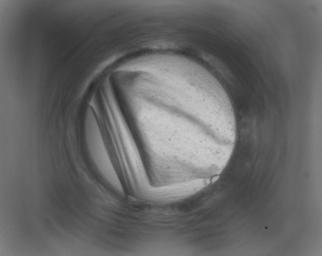 X0000081350727200702082254