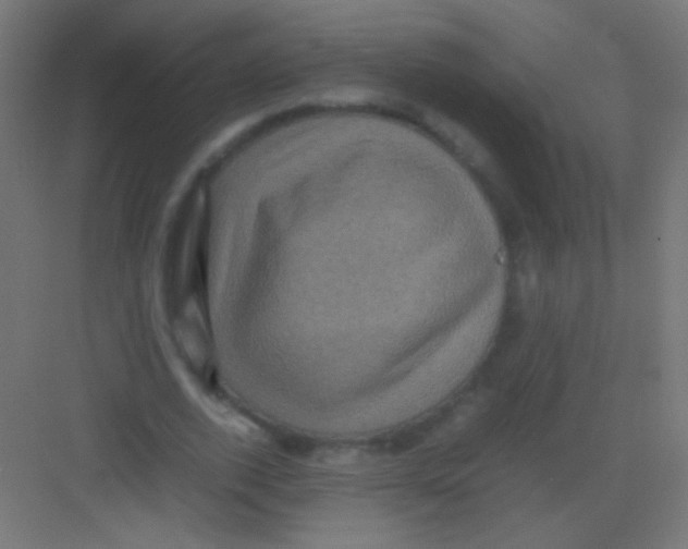 X0000081350728200702082254