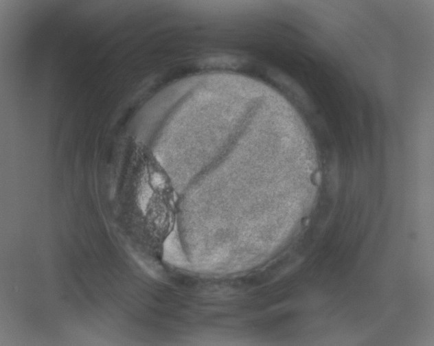 X0000081350729200702082254