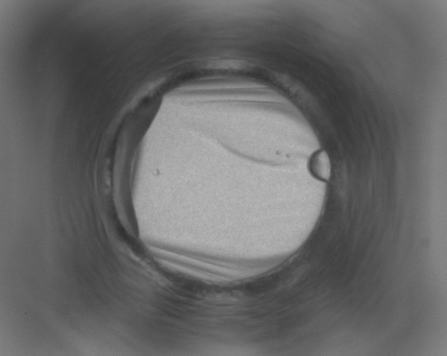 X0000081350731200702082254