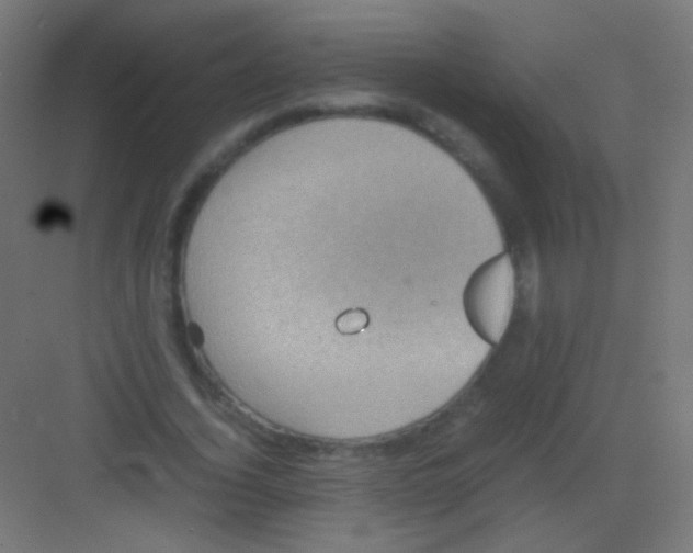 X0000081350732200702082254