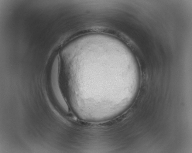 X0000081350734200702082254