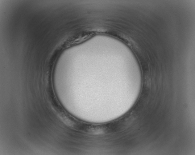 X0000081350735200702082254