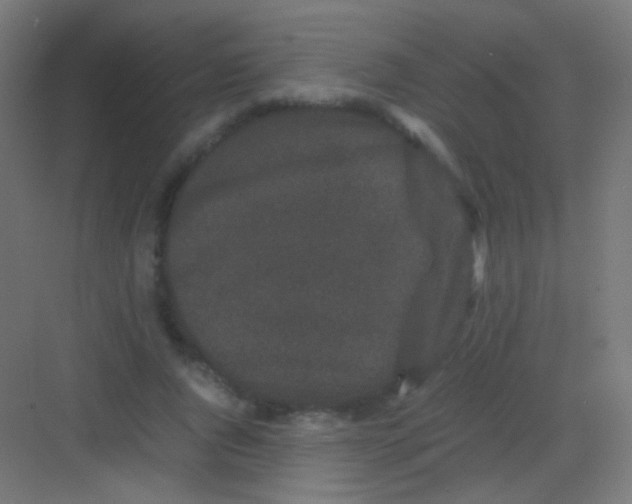 X0000081350736200702082254