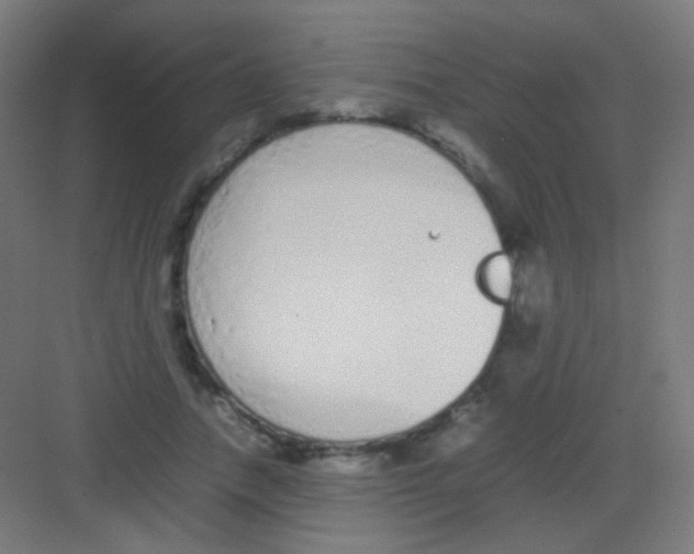 X0000081350738200702082254