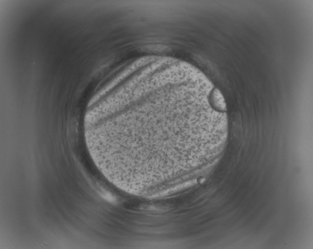 X0000081350739200702082254