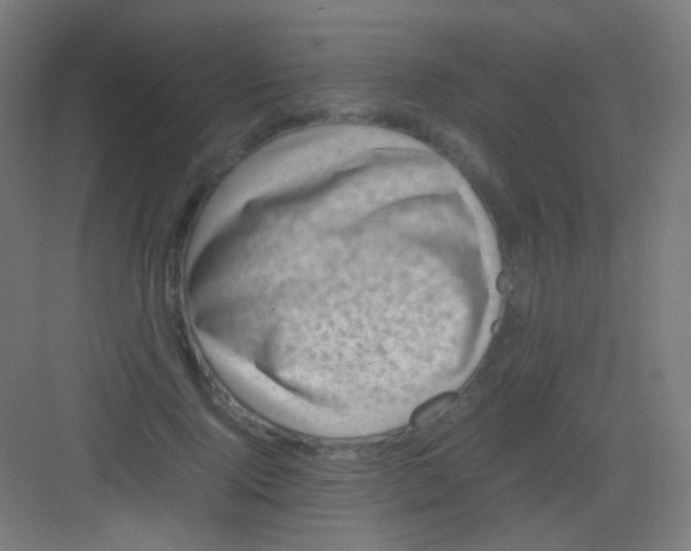 X0000081350740200702082254