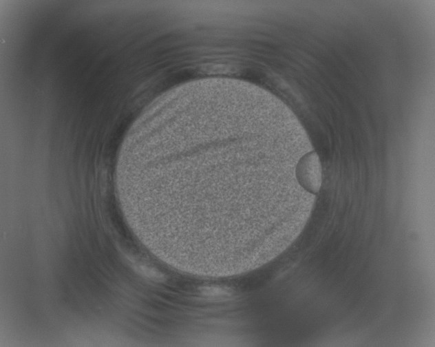 X0000081350741200702082254