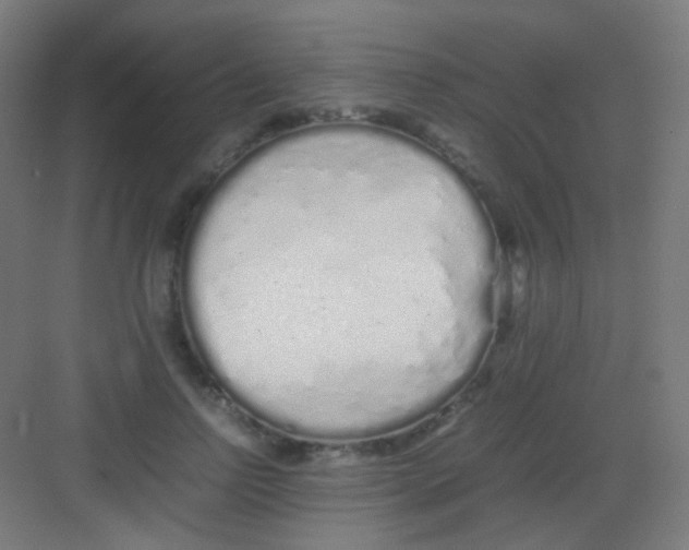 X0000081350742200702082254