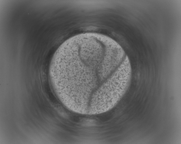 X0000081350743200702082254