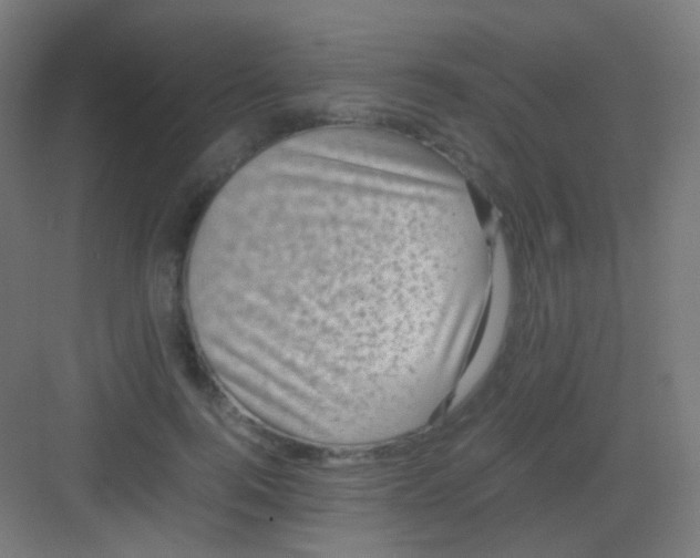 X0000081350744200702082254