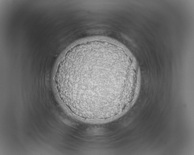 X0000081350745200702082254