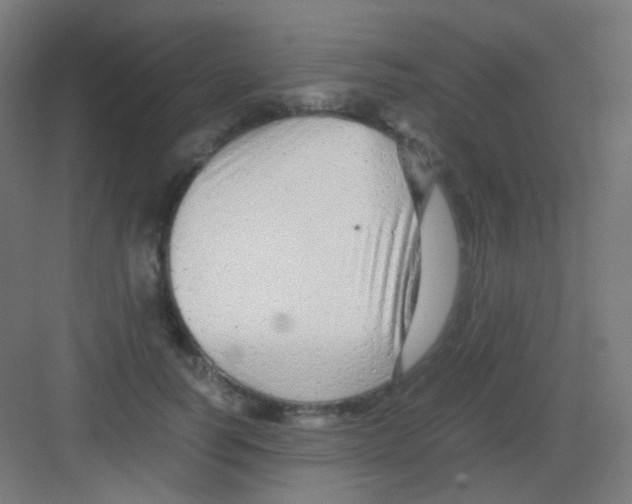 X0000081350746200702082254