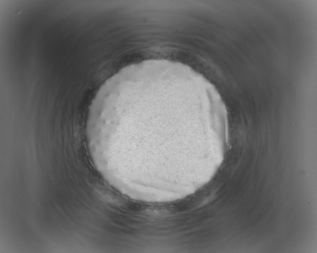 X0000081350749200702082254